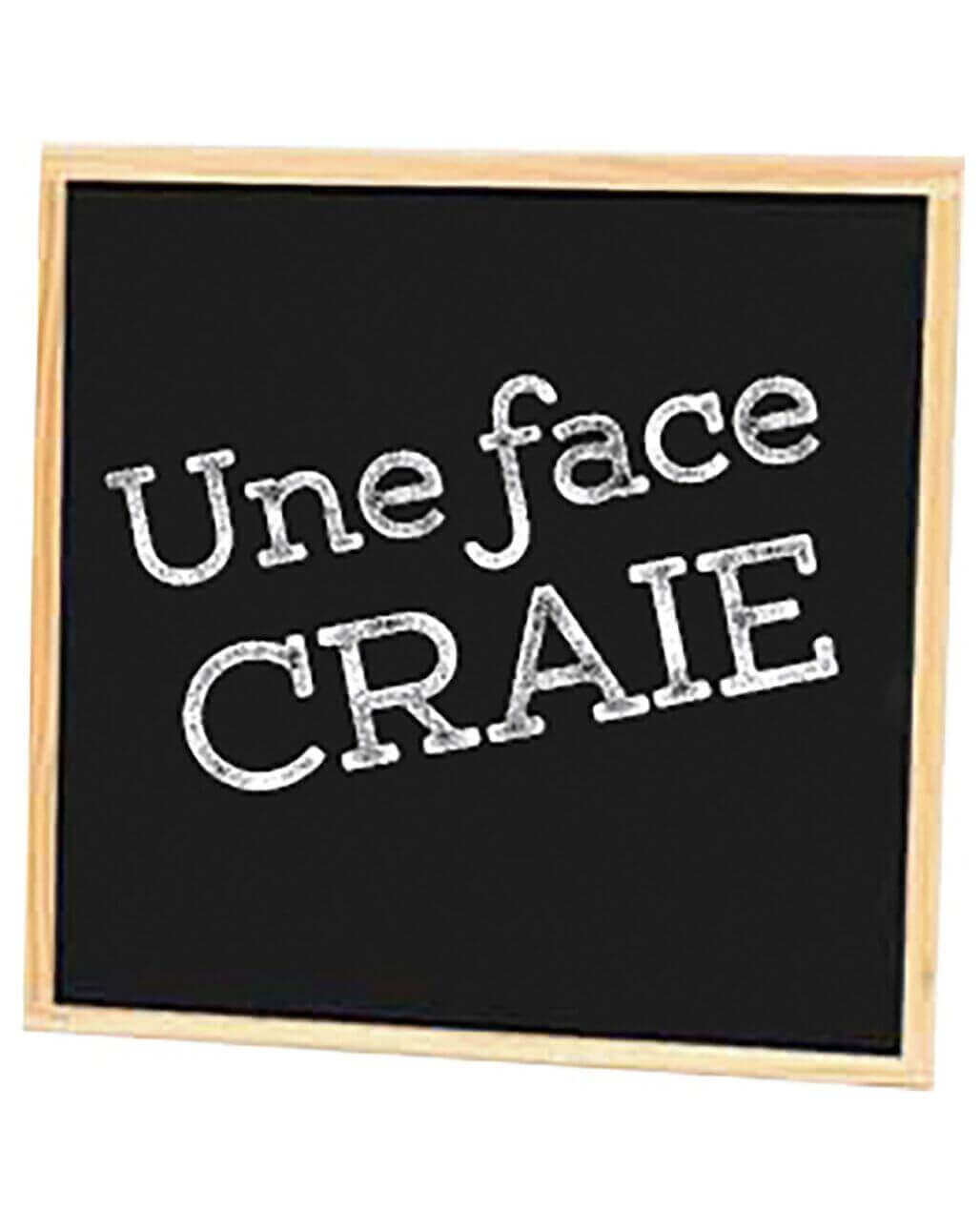 First Learning - Puzzle magnétique et son ardoise en bois - animaux, ardoise, motricité fine, puzzle