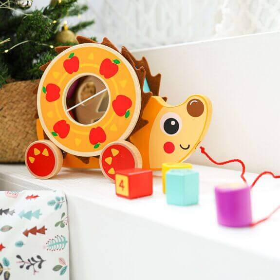 Tooky Toys - Hérisson à tirer "Trieur de formes" - A partir de 12 mois - couleurs, formes, jouet à tirer, trieur de formes